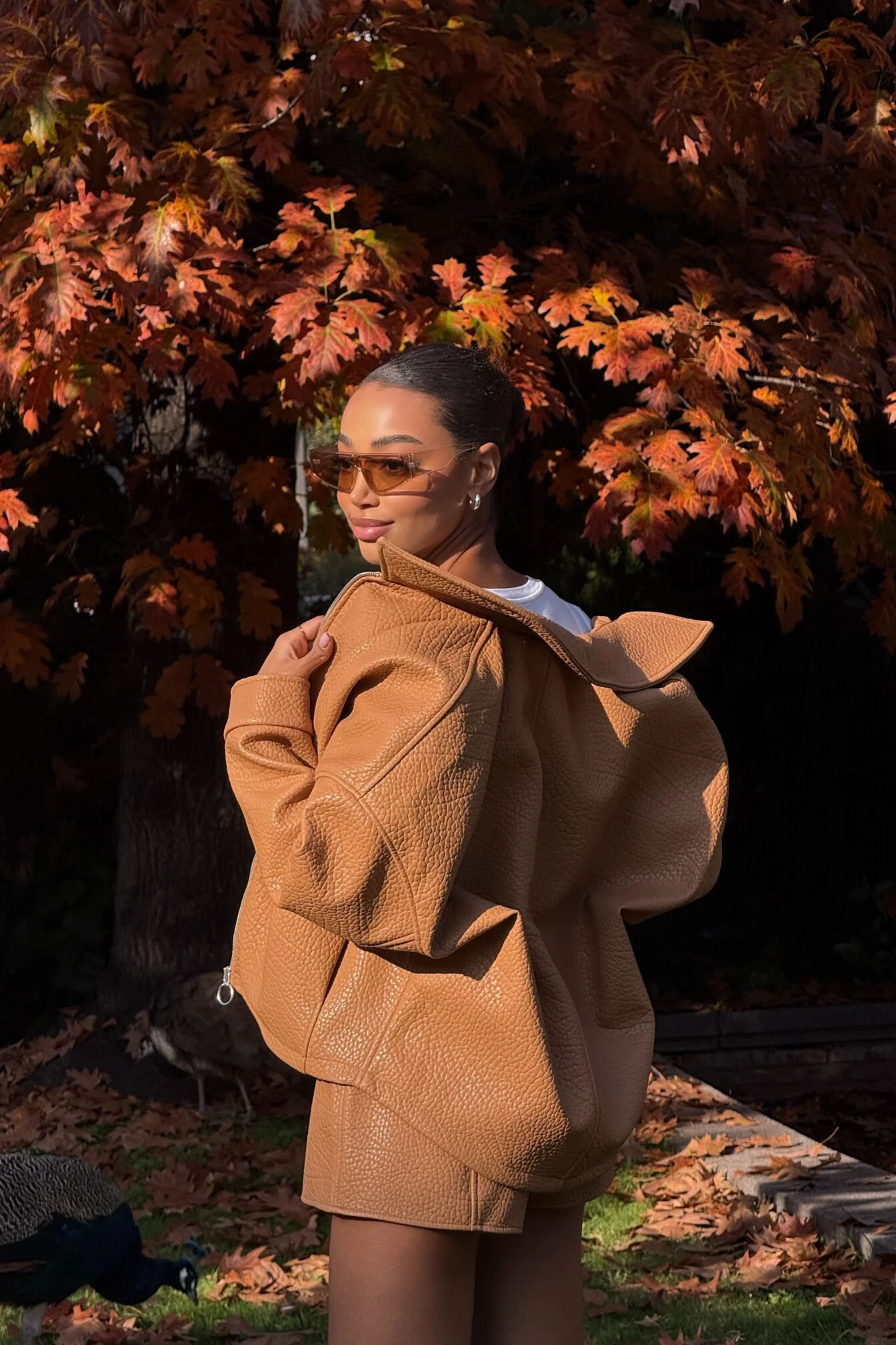 BOMBER PORCINI CARDADO - Image 10