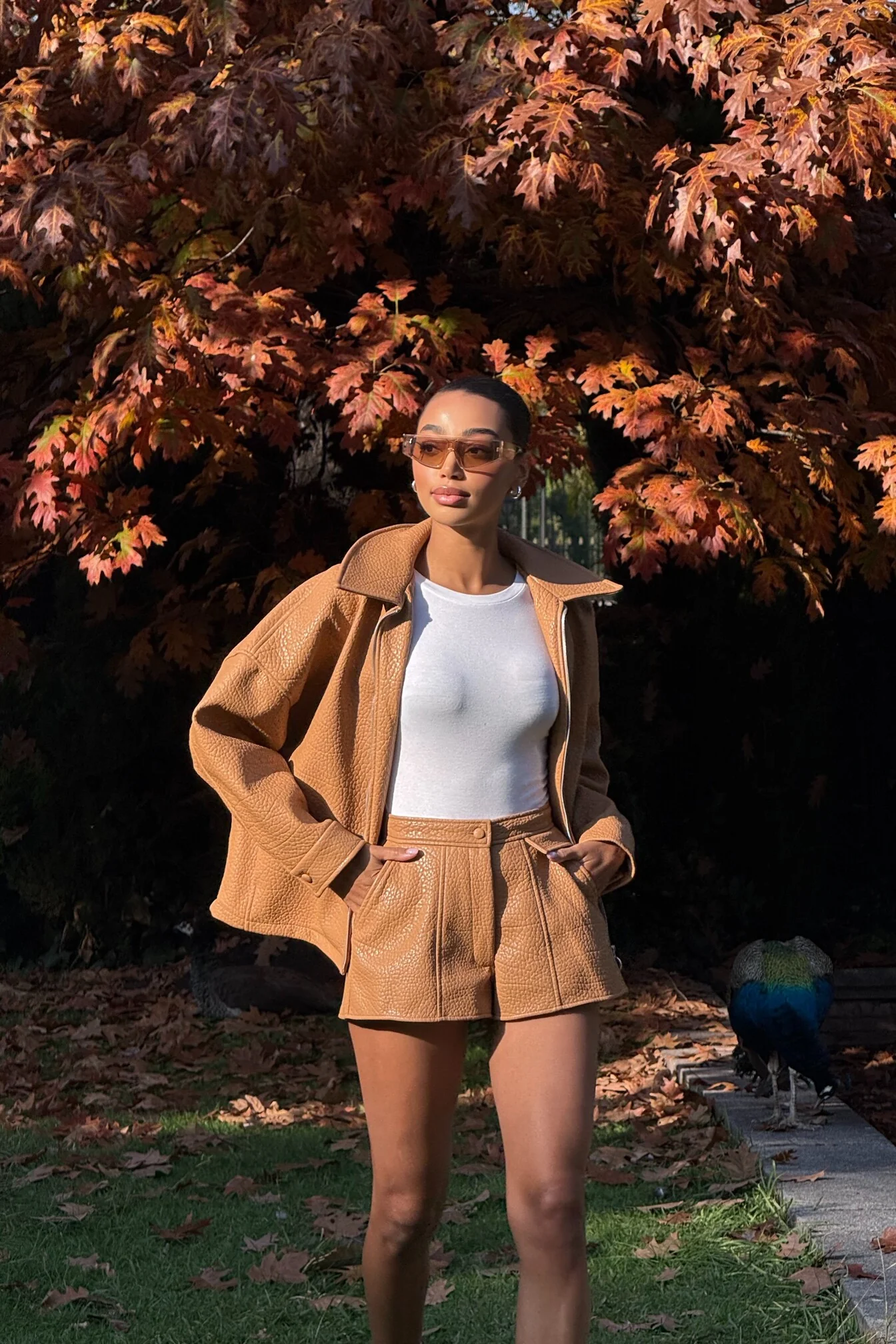 BOMBER PORCINI CARDADO - Image 11