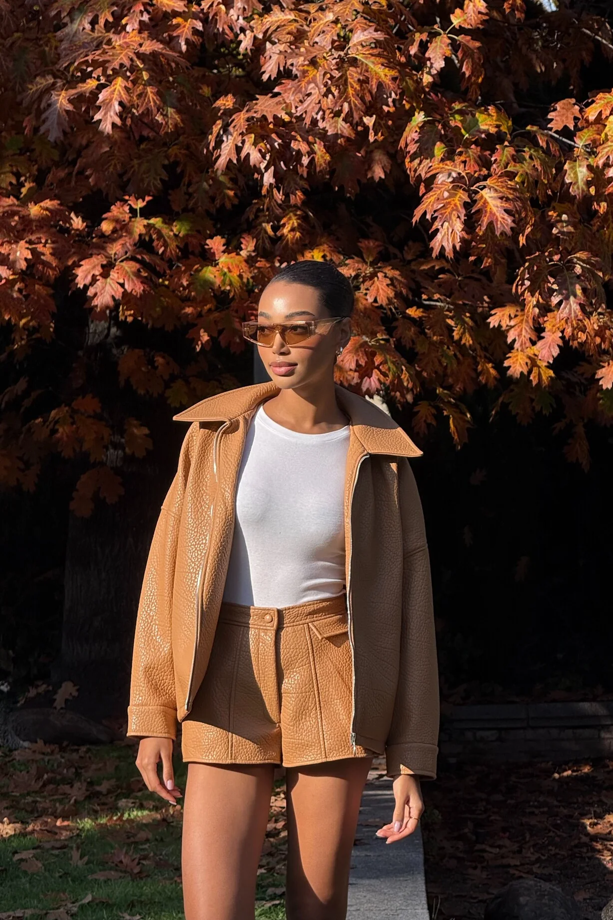 BOMBER PORCINI CARDADO - Image 5