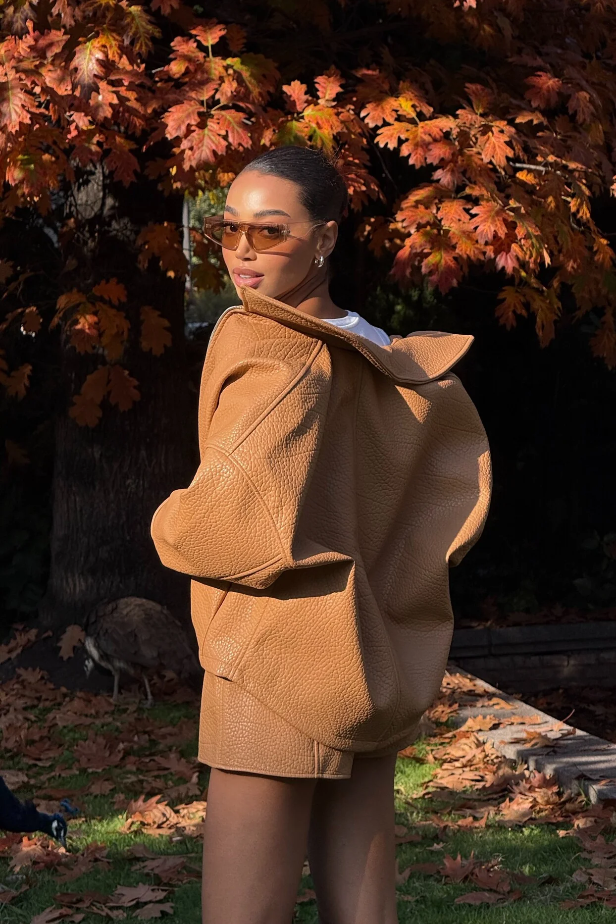 BOMBER PORCINI CARDADO - Image 9